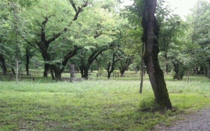 مدیریت پارک جنگلی کار شهرداری نیست