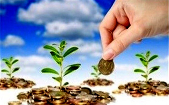 صندوق حمایت توسعه بخش کشاورزی بافق آغاز به کار کرد