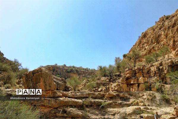 رویش از دل سنگ