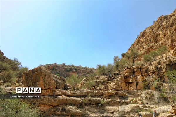 رویش از دل سنگ