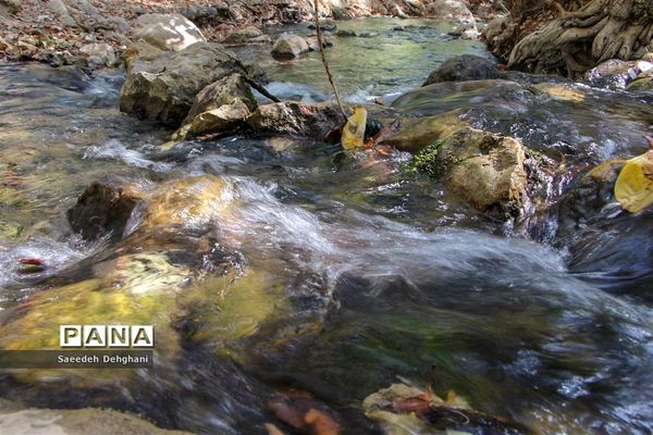 طبیعت زیبای تنگه غوره دان