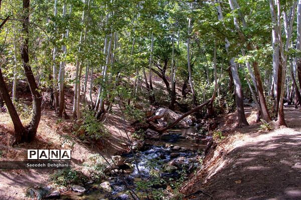 طبیعت زیبای تنگه غوره دان