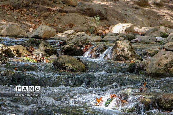 طبیعت زیبای تنگه غوره دان