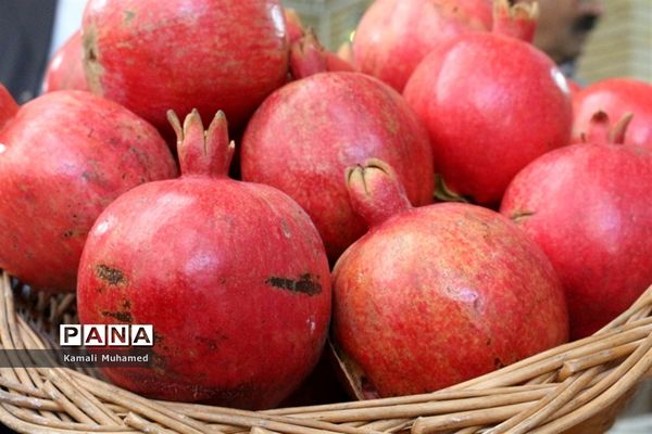 اولین جشنواره انار در روستای خورهه شهرستان محلات
