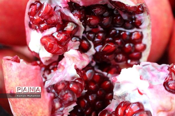 اولین جشنواره انار در روستای خورهه شهرستان محلات