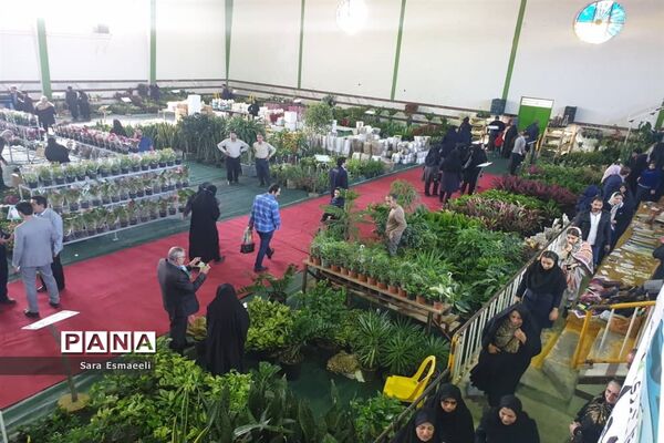 چهارمین نمایشگاه گل و گیاه زینتی محمودآباد