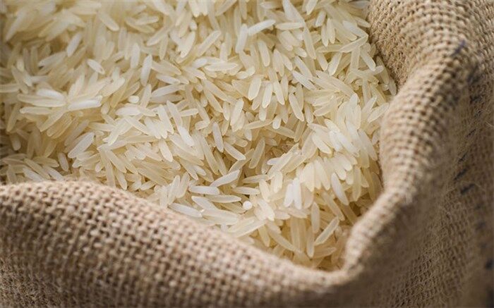 برنج‌های وارداتی تا 2 هفته دیگر ترخیص و توزیع می‌شوند