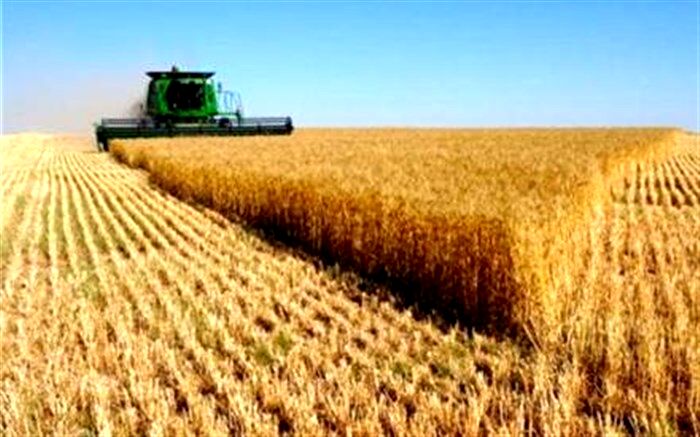 ۱۲ میلیارد دلار برای بخش آب و خاک کشاورزی کشور هزینه شد