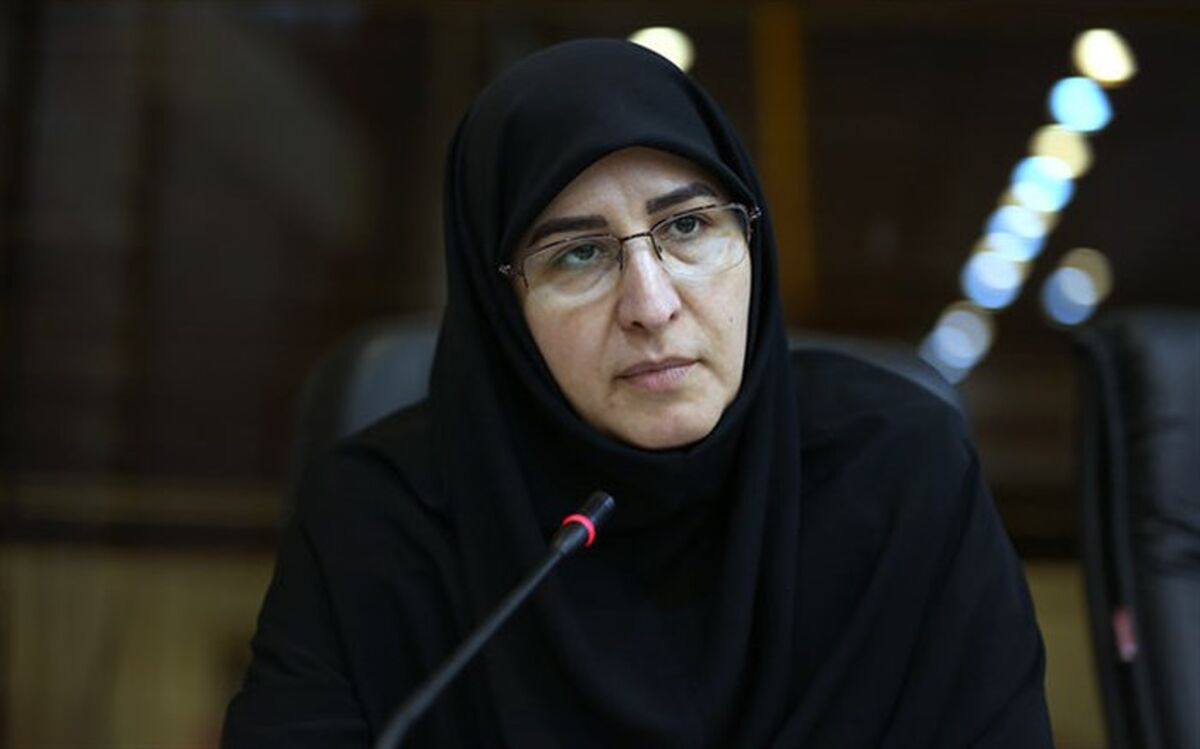 حکیم‌زاده: تحقق عدالت آموزشی ارتباط تنگاتنگی با فرهنگ و آموزش جامعه دارد