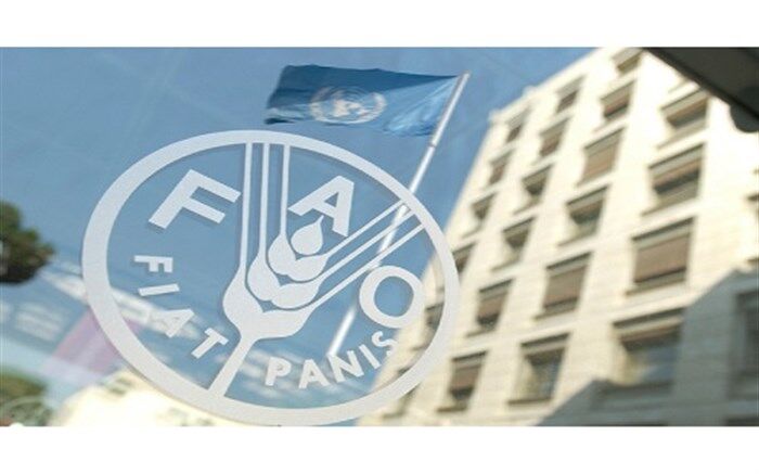 همکاری فائو و دولت ایران جهت بهبود نظام پایش کشاورزی کشور