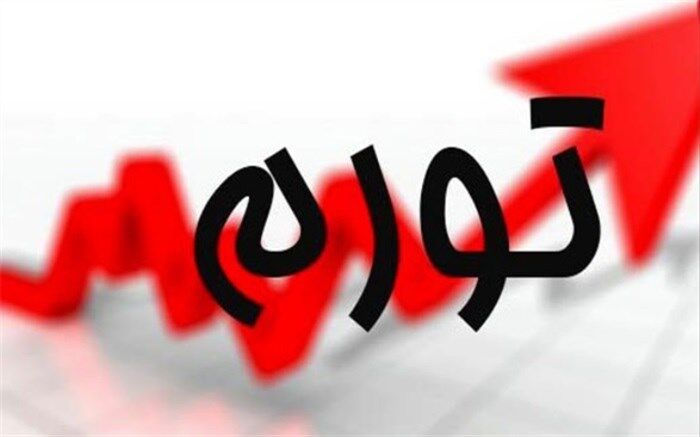 معاون سازمان برنامه و بودجه:‌ تورم ناشی از افزایش قیمت بنزین کمتر از ۲ درصد است