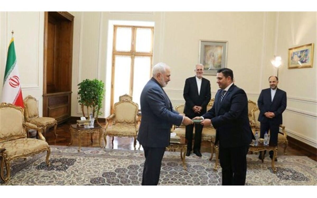 دیدار رئیس جدید دفتر حافظ  منافع مصر در تهران با ظریف