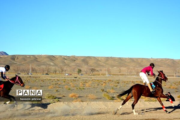برگزاری مسابقات اسب سواری در شهرستان بیرجند