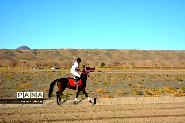 برگزاری مسابقات اسب سواری در شهرستان بیرجند