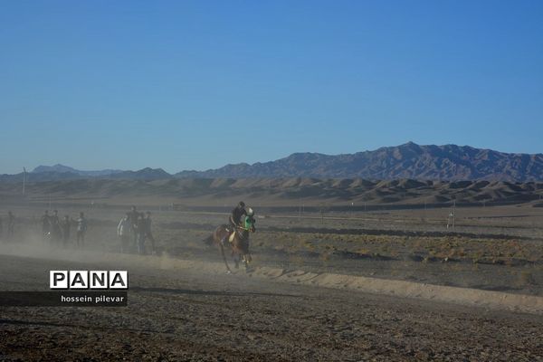 برگزاری مسابقات اسب سواری در شهرستان بیرجند