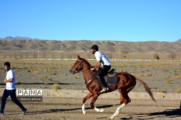 برگزاری مسابقات اسب سواری در شهرستان بیرجند
