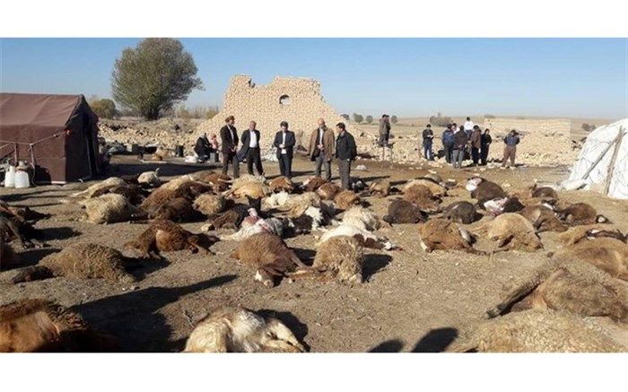 میزان خسارت های اولیه به بخش کشاورزی آذربایجان شرقی بر اثر زلزله اعلام شد