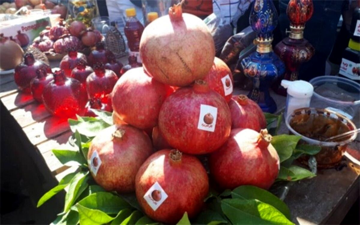 حضور ۱۲ هزار گردشگر در جشنواره انار سریزد