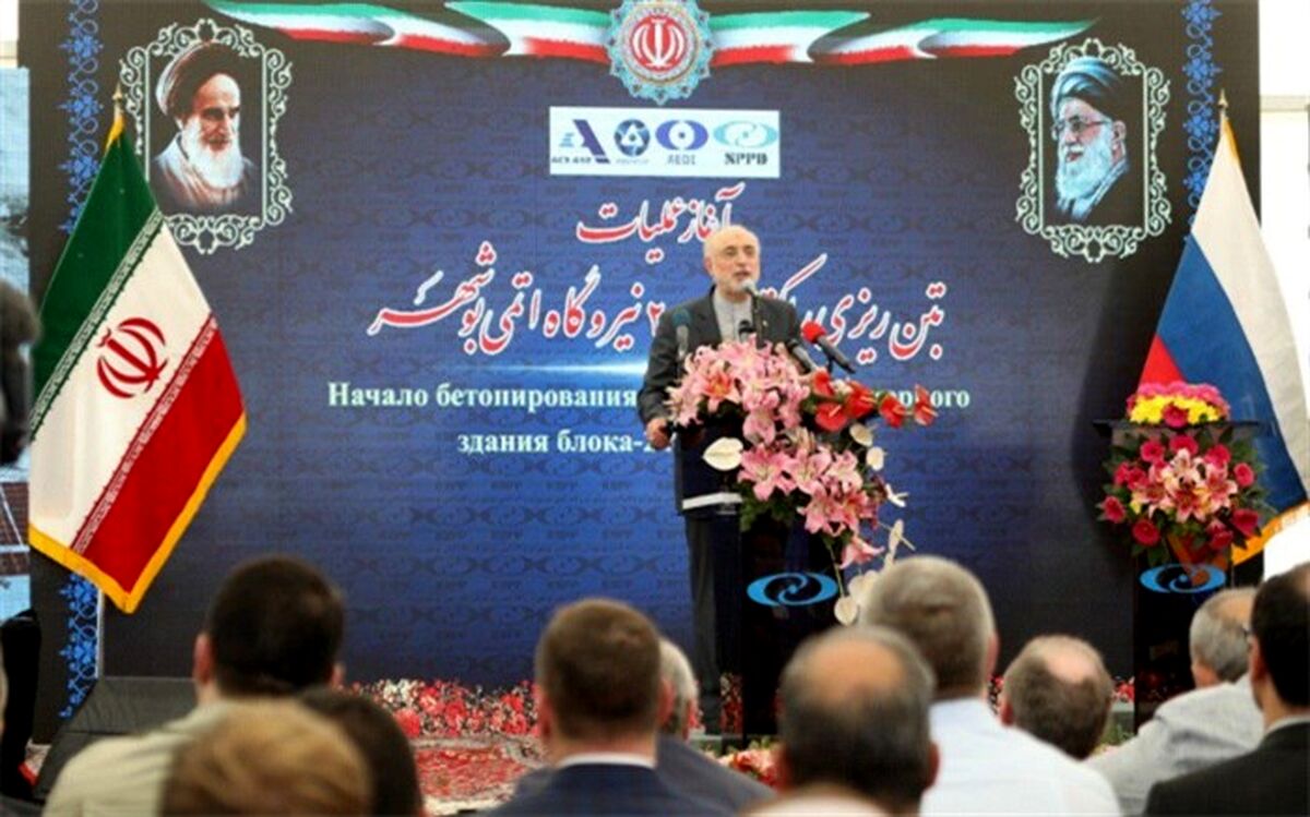 صالحی: نیروگاه بوشهر از امنیت کامل برخوردار است