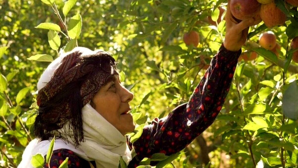 «مینی‌بوس»؛ روایتی از تجدید دیدار با خاطرات در سریال «مادران»
