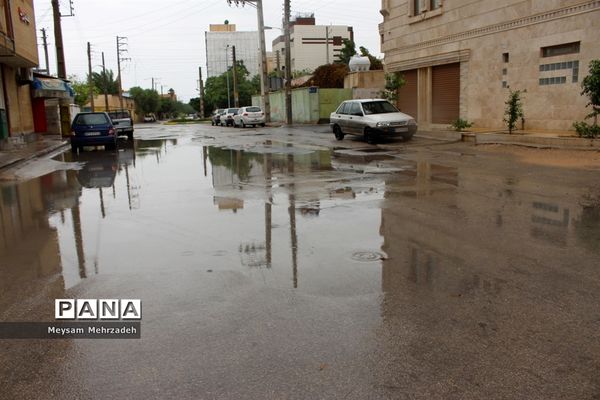 بارندگی  در بوشهر