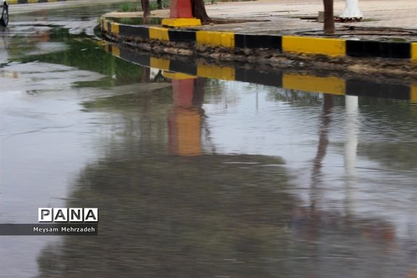 بارندگی  در بوشهر