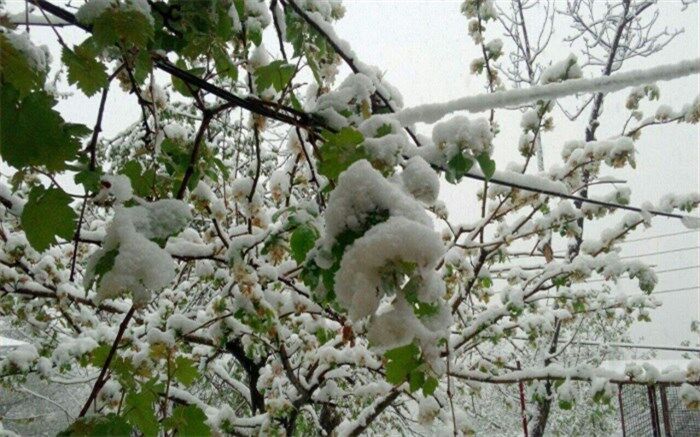 آماده‌باش ۶۰۰ نیرو شهرداری کرج