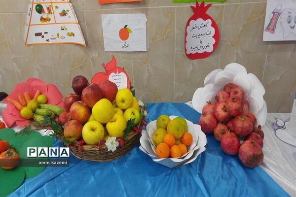 افتتاحیه طرح سفیران سلامت درمدارس داراب