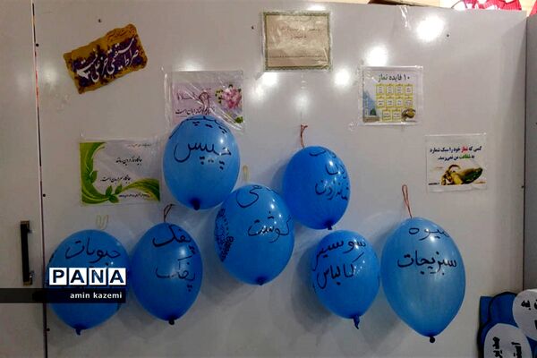 افتتاحیه طرح سفیران سلامت درمدارس داراب