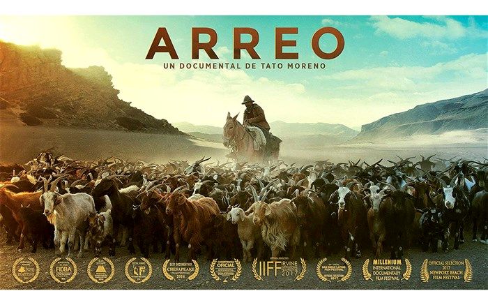 مرور جشنواره «میلینیوم» بلژیک در سینماحقیقت