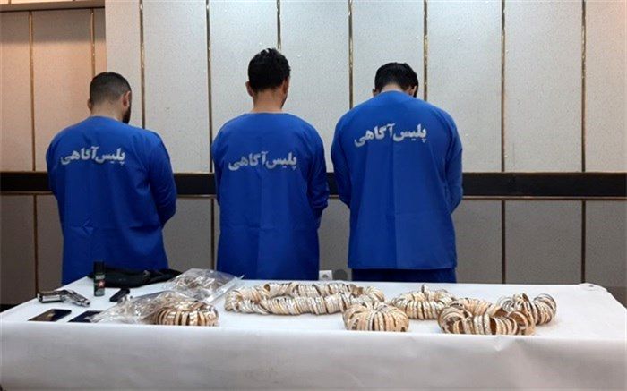 اعترافات دزدان ناشی 9 کیلو طلا در قلب پایتخت
