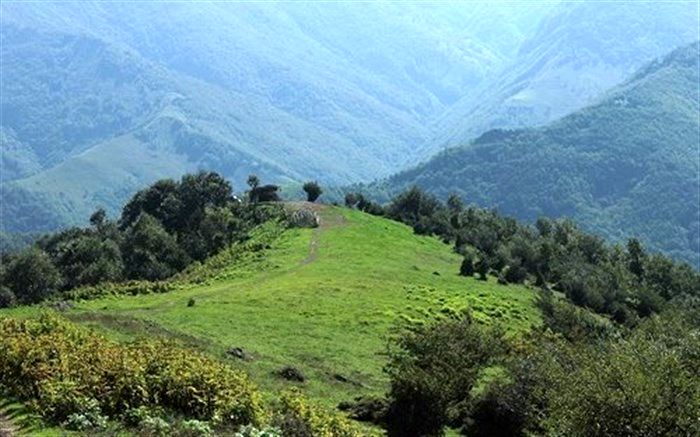 تخریب‌کنندگان مراتع استان اردبیل به مراجع قضایی معرفی می‌شوند