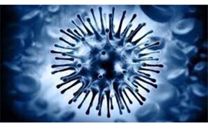 خوکی، مرغی یا انسانی، آنفلوآنزا را جدی بگیرید