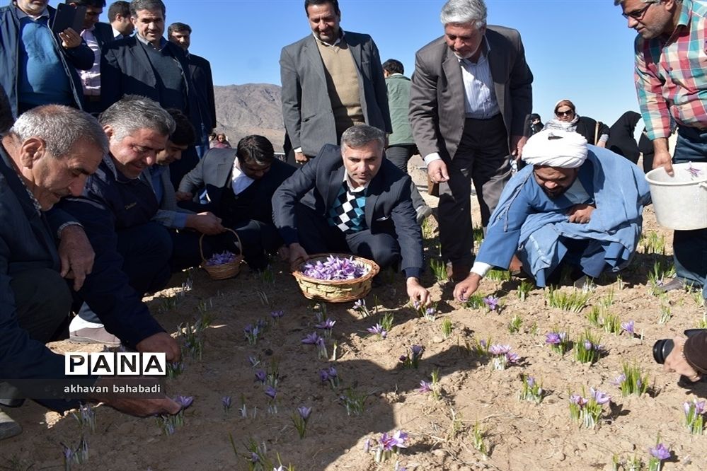 آئین اختتامیه جشنواره زعفران استان یزد در روستای « بنستان » شهرستان بهاباد