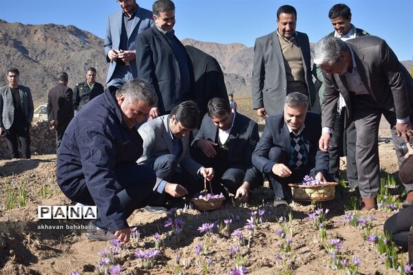 آئین اختتامیه جشنواره زعفران استان یزد در روستای « بنستان » شهرستان بهاباد