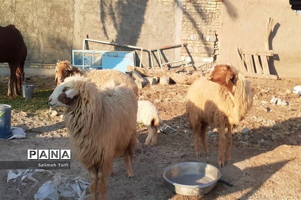 حال وهوای زندگی روستاییان شهرستان حمیدیه درفصل پاییز