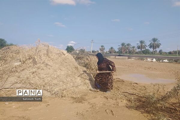 حال وهوای زندگی روستاییان شهرستان حمیدیه درفصل پاییز