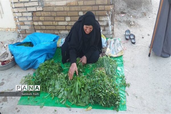 حال وهوای زندگی روستاییان شهرستان حمیدیه درفصل پاییز