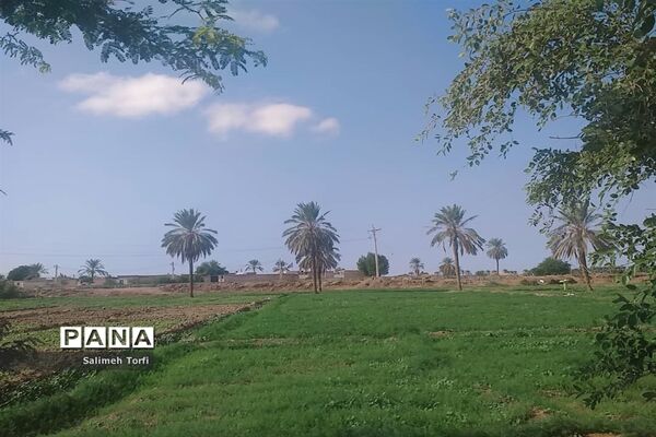 حال وهوای زندگی روستاییان شهرستان حمیدیه درفصل پاییز