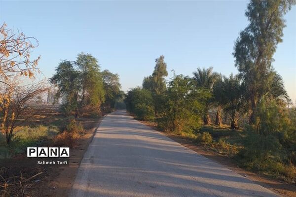حال وهوای زندگی روستاییان شهرستان حمیدیه درفصل پاییز