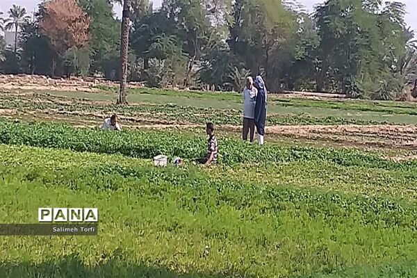 حال وهوای زندگی روستاییان شهرستان حمیدیه درفصل پاییز