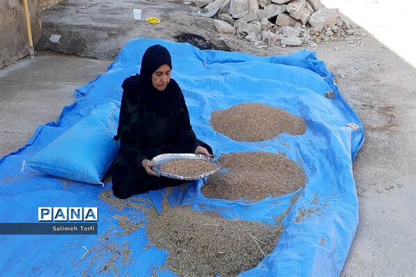 حال وهوای زندگی روستاییان شهرستان حمیدیه درفصل پاییز