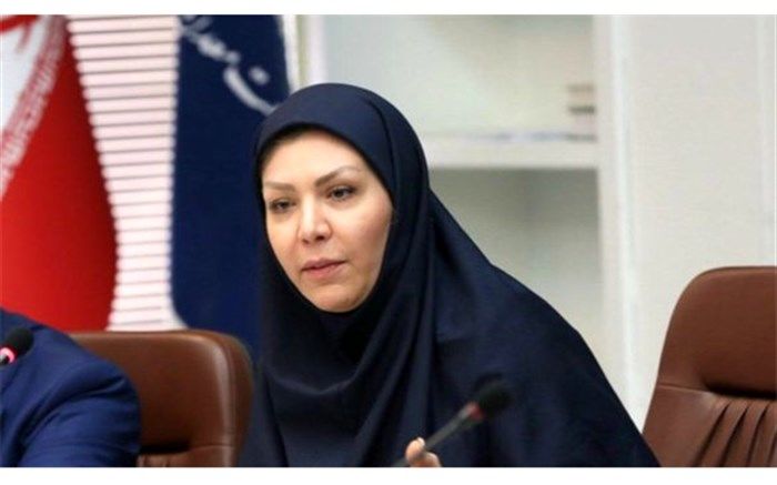 مدیرعامل صندوق ضمانت صادرات: صندوق ضمانت صادرات نبود ال‌سی را برای صادرکنندگان فولاد حل می‌کند