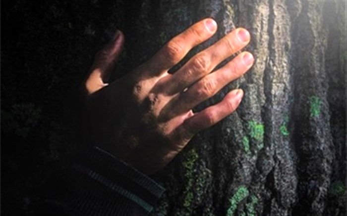 مستند «نفس» در جنگل‌های هیرکانی کلید خورد