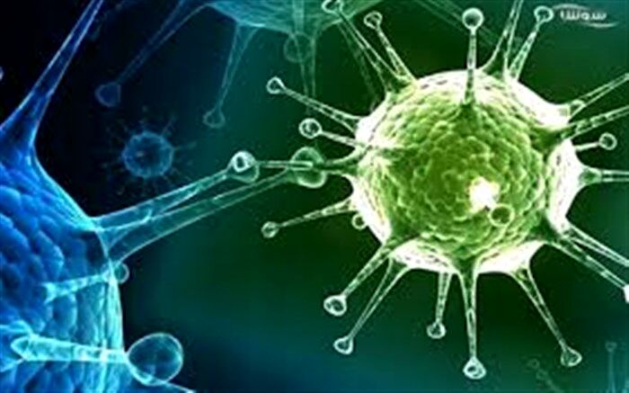 آنفلوانزا مدارس ابتدایی کهگیلویه وبویراحمد را تعطیل کرد