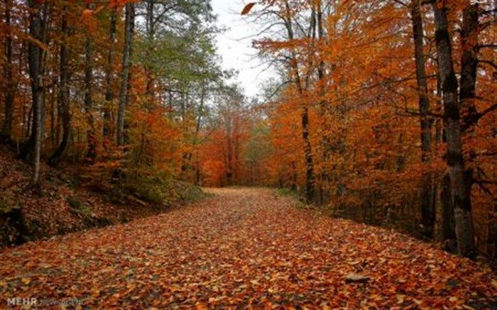 افزایش نسبی دمای هوای گیلان طی روزهای آینده