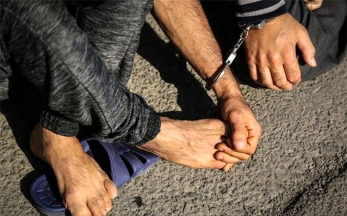 سرقت یک میلیاردی خواستگار از دختر تاجر