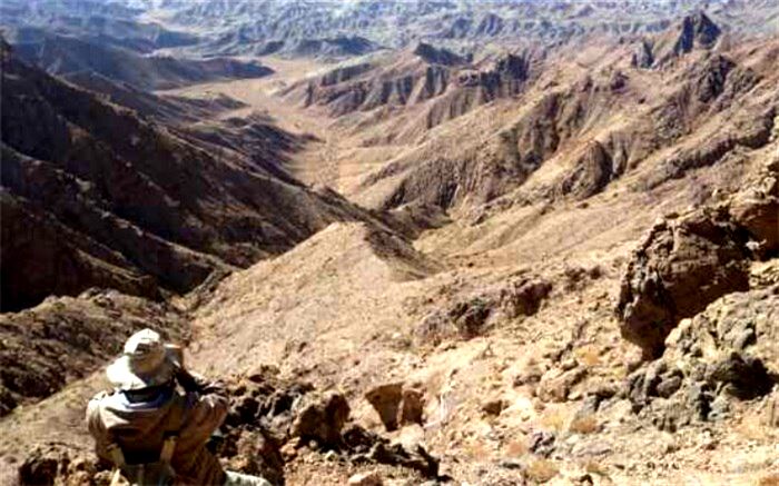 سرشماری پاییزه علفخوران شاخص قرق اختصاصی دربید در استان یزد