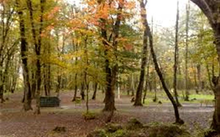 روزهای آفتابی  در گیلان