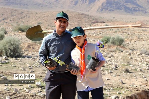 کاشت بیش از 4 هزار نهال توسط دانش‌آموزان گراش